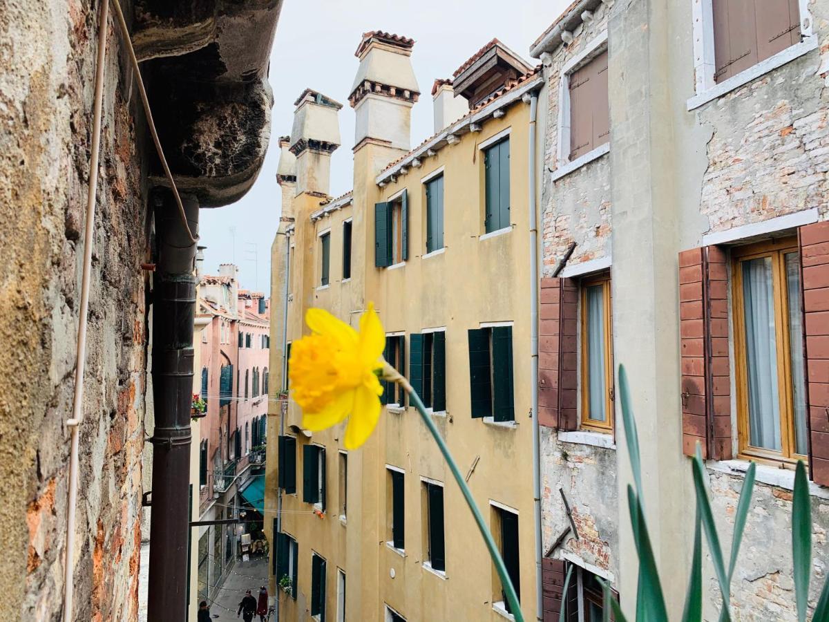 Rooftop Terrace Domus Dei Fabbri Veneza Exterior foto