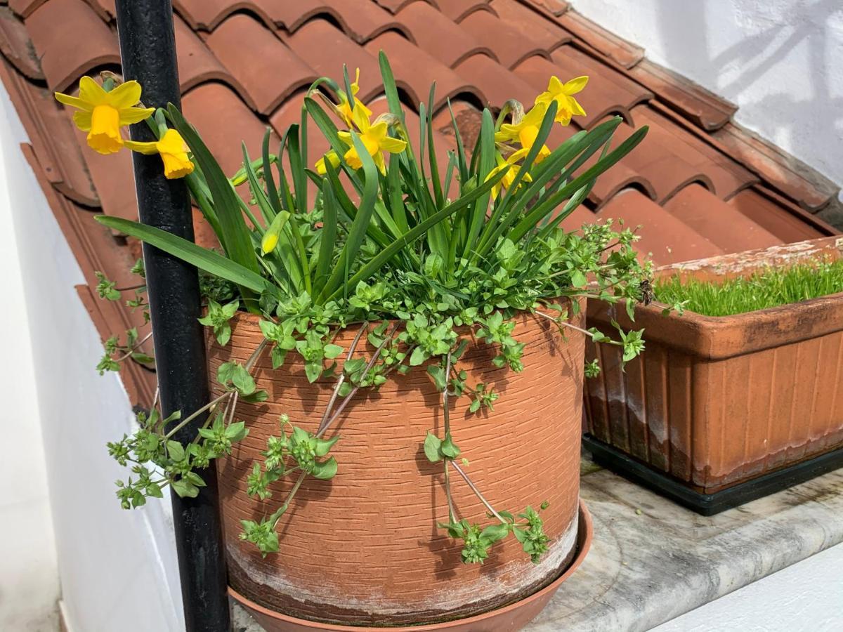 Rooftop Terrace Domus Dei Fabbri Veneza Exterior foto