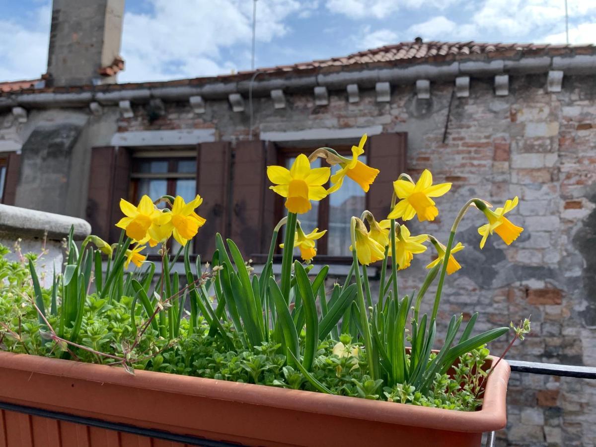 Rooftop Terrace Domus Dei Fabbri Veneza Exterior foto